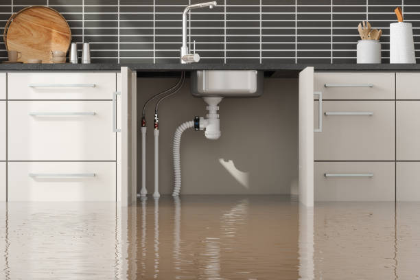 Best Plumbing Leak and Burst Pipe Cleanup in USA